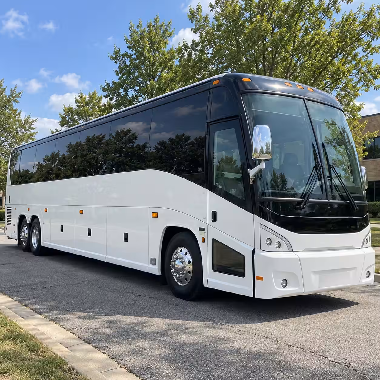 bus rentals for san francisco outdoor and nature field trips